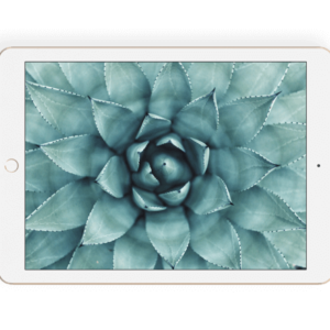 Apple iPad