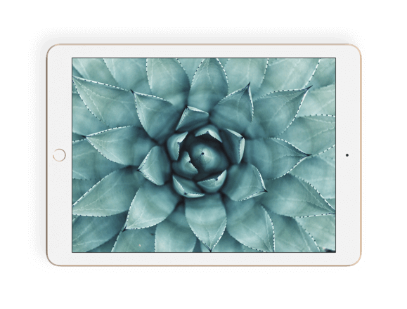 Apple iPad